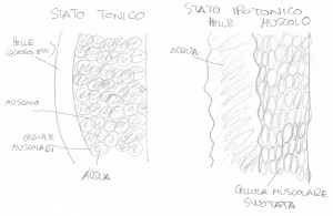 ritenzione idrica